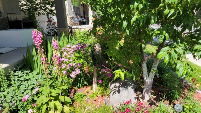 Photo - 807 Whisper Cove Rd