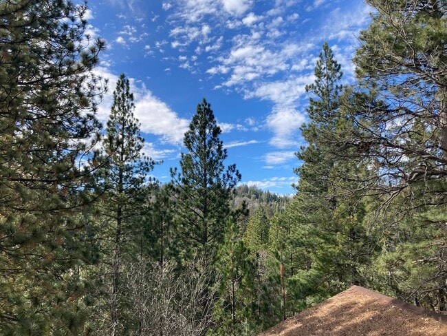 Photo - Enchanting Four Bedroom Two and Half Bath Condo in North Meadow Bay.