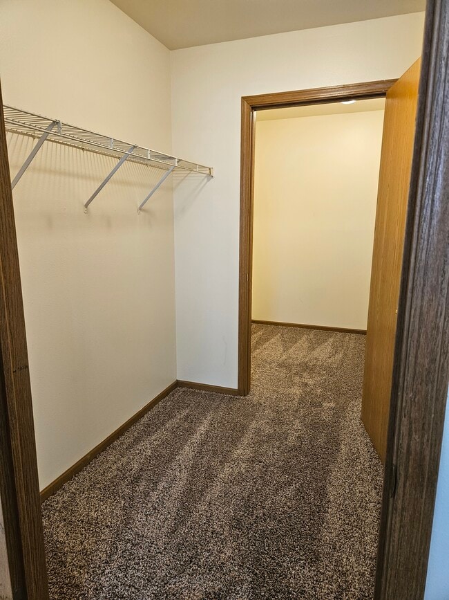 Master Walk-in & storage