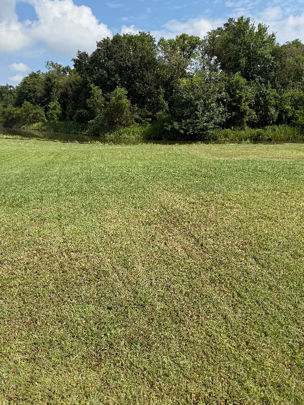 Photo - 1206 E St Charles St