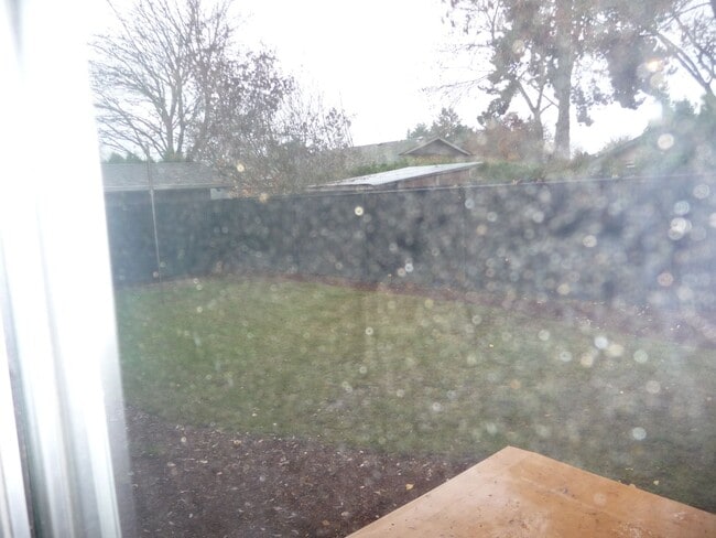 Photo - New carpeting