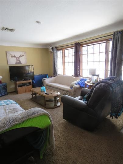 Photo - 1416 13th St S