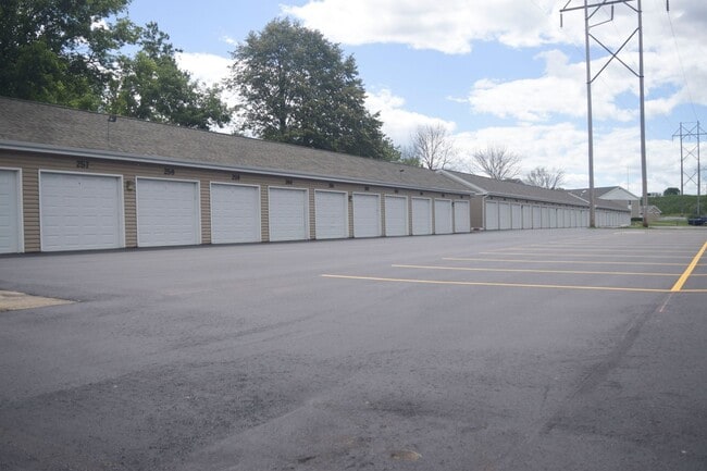 Photo - Northern Pines