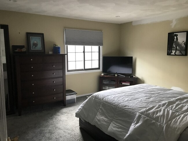 Photo - 20 Bennett St