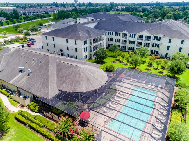 Bosque de Arella en Woodland - Arella Forest At Woodland