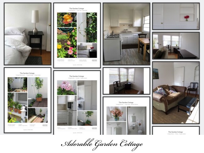 Bedroom, Living Room & Kitchen