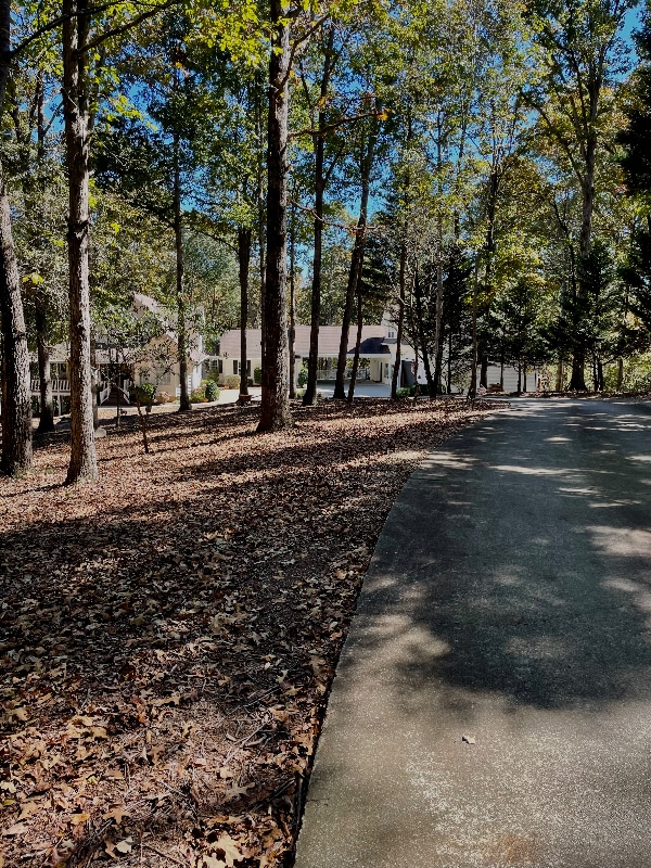 Photo - 4438 Gillsville Hwy