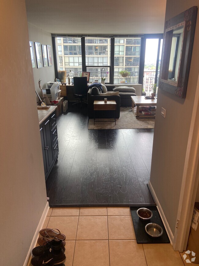 Building Photo - 1560 N Sandburg Ter Unit 1703 Rental