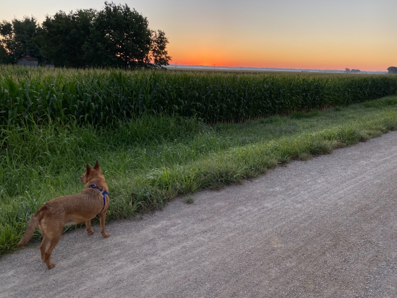 Photo - 246 N 8th St