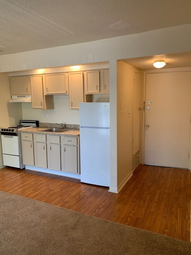 Photo - Broad Ripple Trails