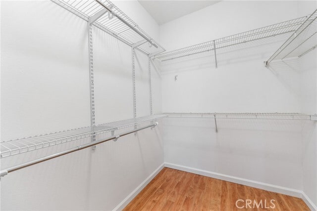 Photo - 12901 Ternberry Ct