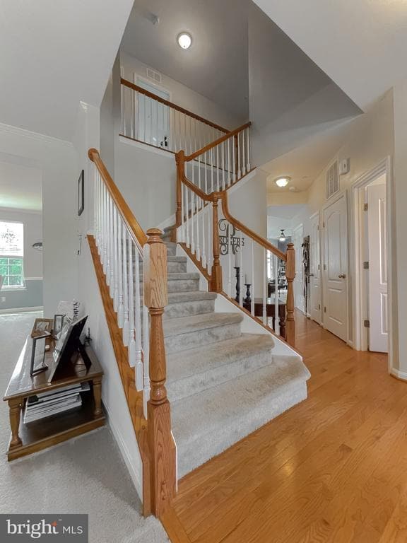 46834 Jillian Grace Ct