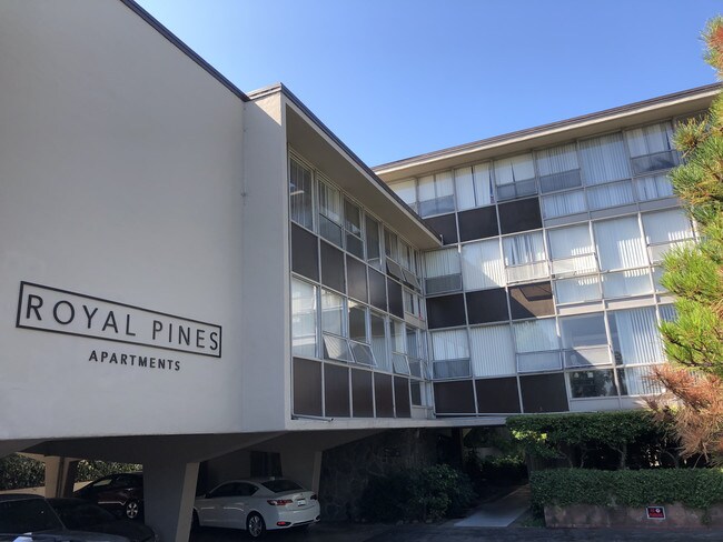 Royal Pines