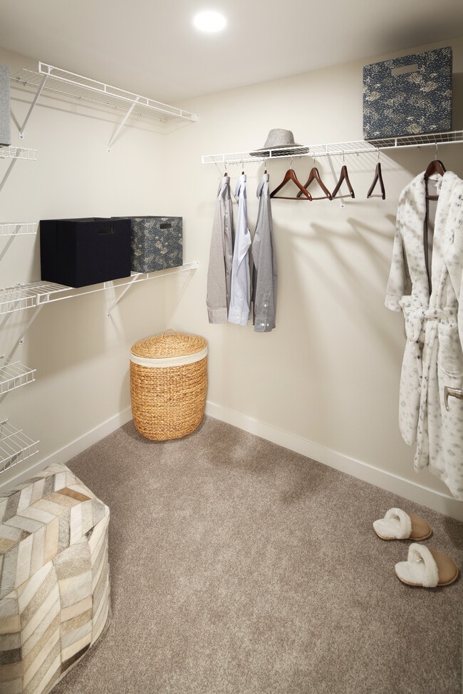 Phase II - Scheme C Walk-in closet
