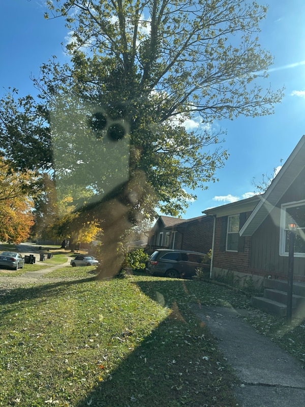 Photo - 3608 Ripple Creek Dr