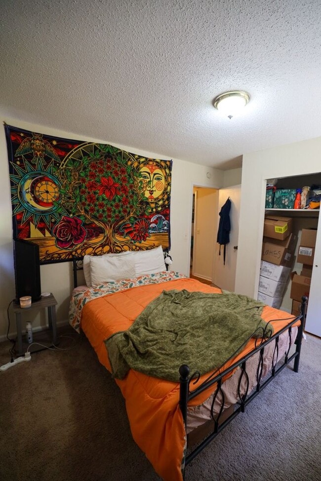 Photo - 2 Bedroom Apartment Close to Campus!