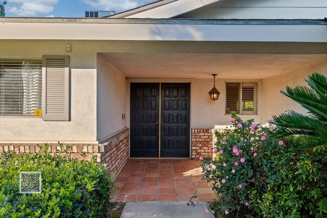 Photo - Available Now