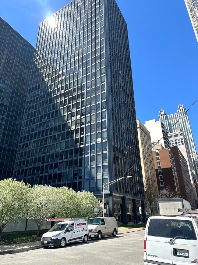Building Photo - 910 N Lake Shore Dr Unit 2220 Rental