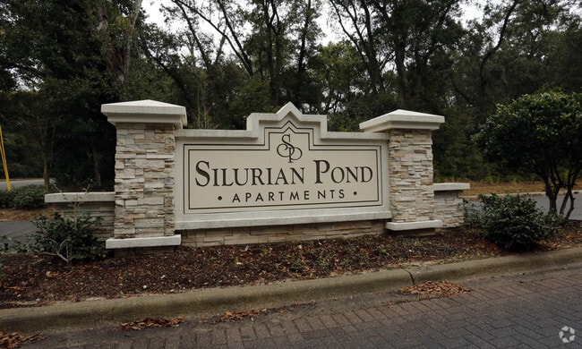 Photo - Silurian Pond