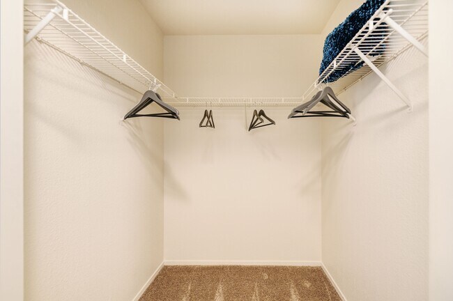 Large Walk In Closets