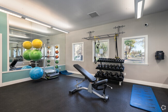Gimnasio
