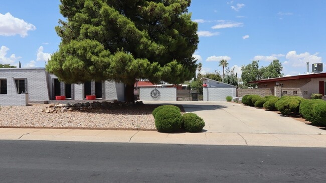 Photo - In Ground Pool