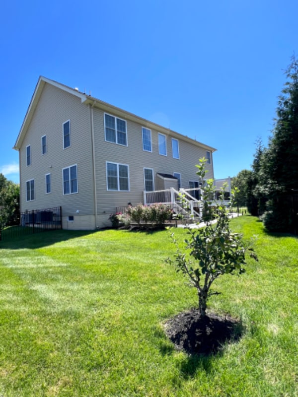 Photo - 1402 St Francis Cir