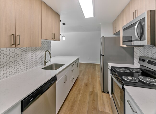 Sleek and Modern Kitchen
