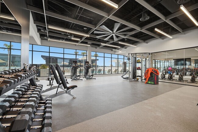 RISE Doro Jacksonville Apartments - RISE Doro