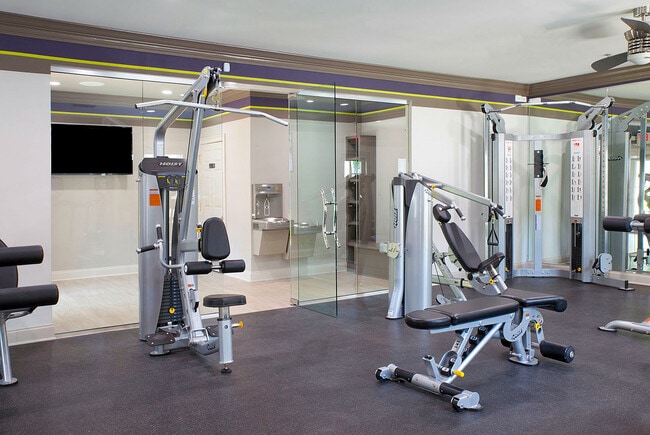 gym web