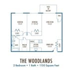 The Woodlands