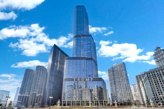 Building Photo - 401 N Wabash Ave Unit 40C Rental