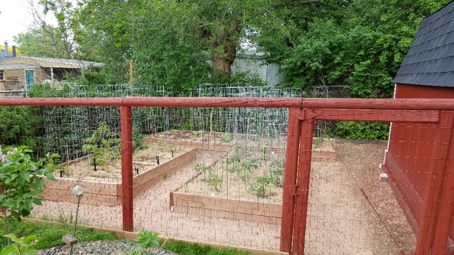 Photo - 3900 Dover St