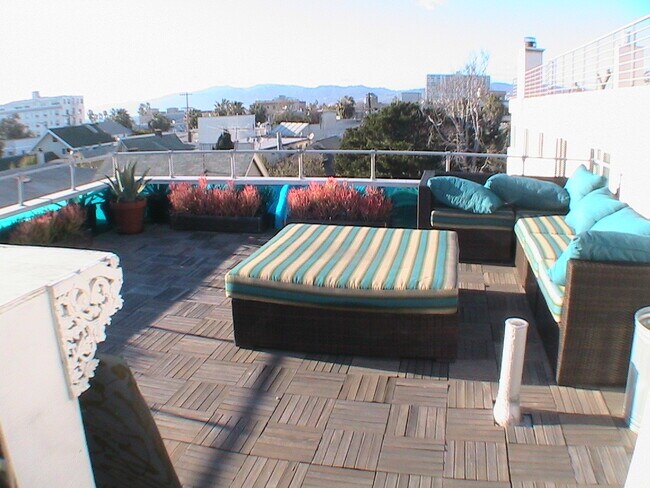 Roof terrace with example of PAST furnishing - 48 Dudley Ct Unit 48DudleyCt#3
