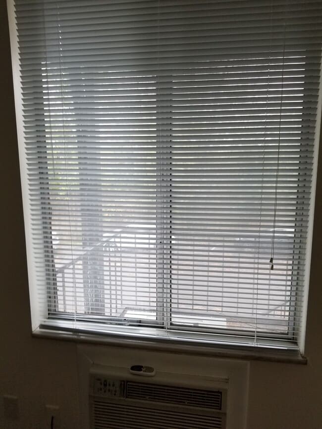 Ventanas enormes - 2601 Hillsboro Pike Unidad M14