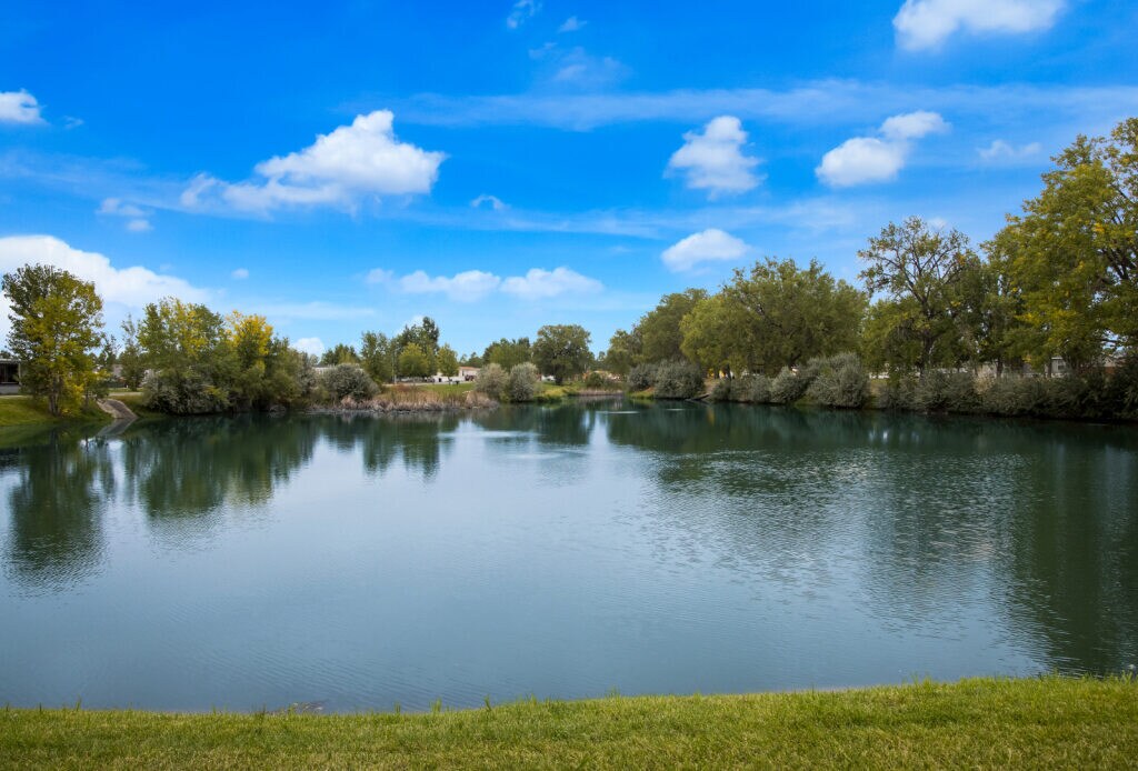 Photo - 22 Tartarian St