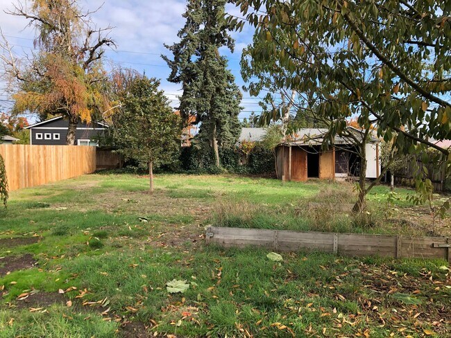 Photo - Updated 3 bedroom 1 1/2 bath home with a large yard!