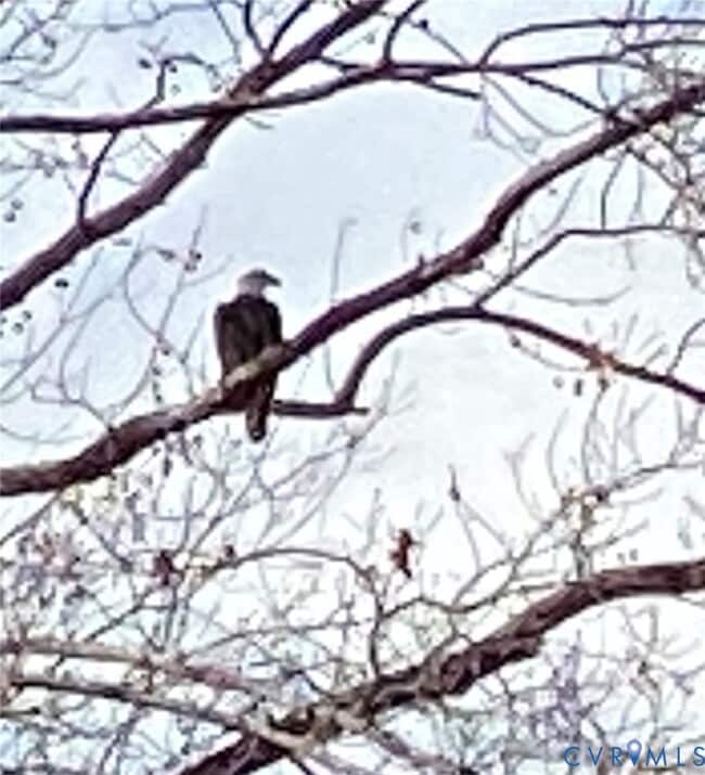 Photo - 7622 Yarmouth Dr