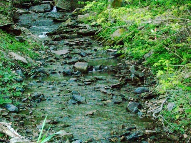 Photo - 150 Hornbeam Rd