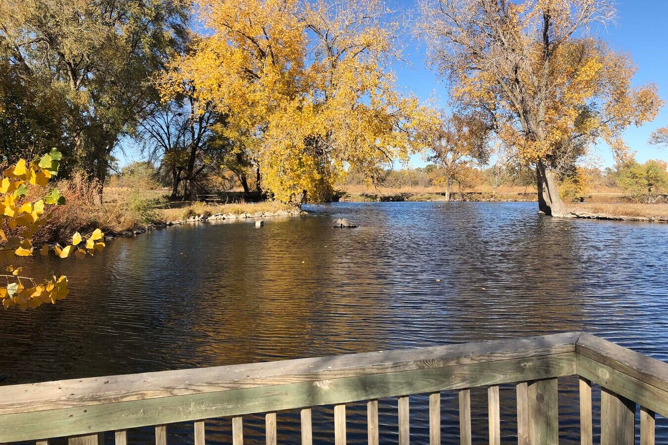 Photo - The Residences at Liberty Campus