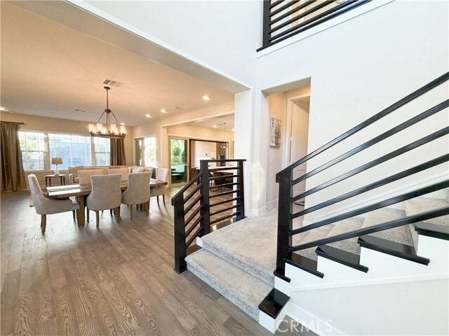 Photo - 64 Turnstone