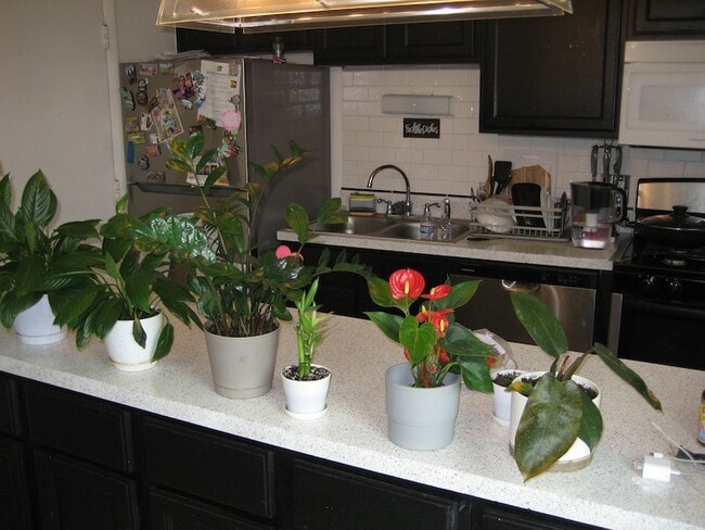 Photo - 1980 Huntington Blvd