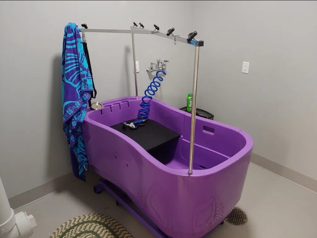 Dog Wash - Rose Rent Lofts