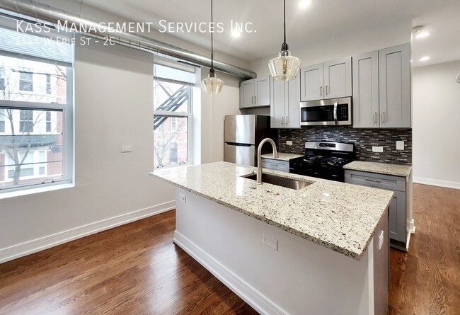 Gorgeous and Fully Remodeled West Town 1 b... - Gorgeous and Fully Remodeled West Town 1 b... Apartamento Unidad 2C