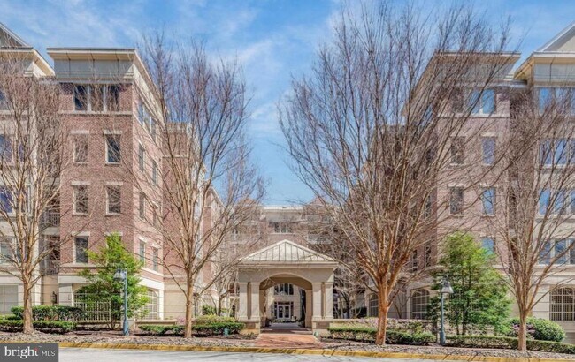 Photo - 10205 Wincopin Cir Unit 302