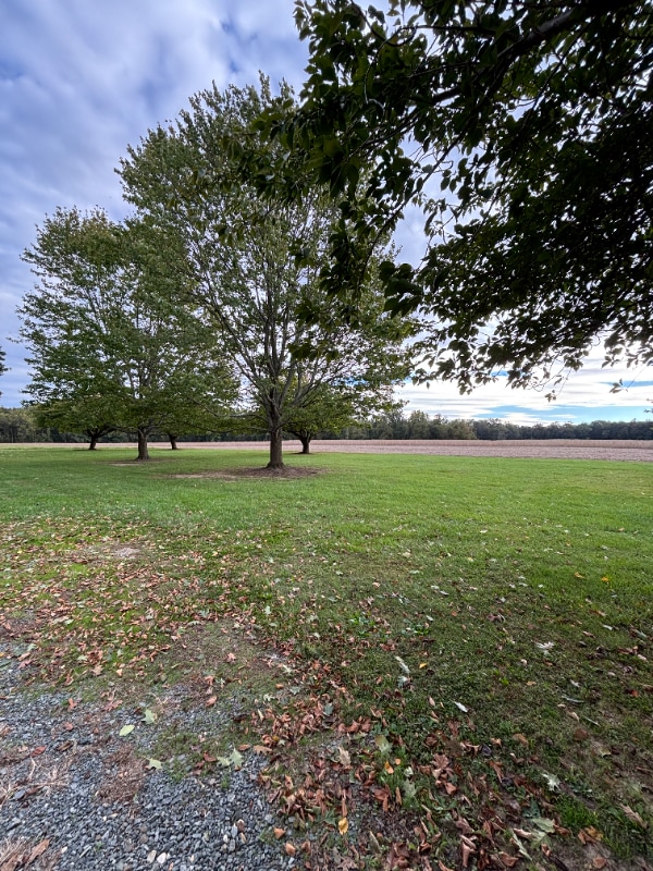 Photo - 9919 Augustine Herman Hwy