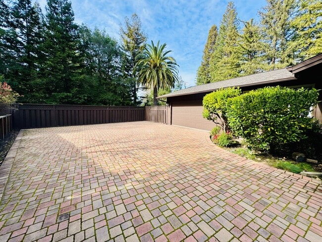 Photo - Spacious Single Level Home with Swimming Pool in Alamo Available Now!