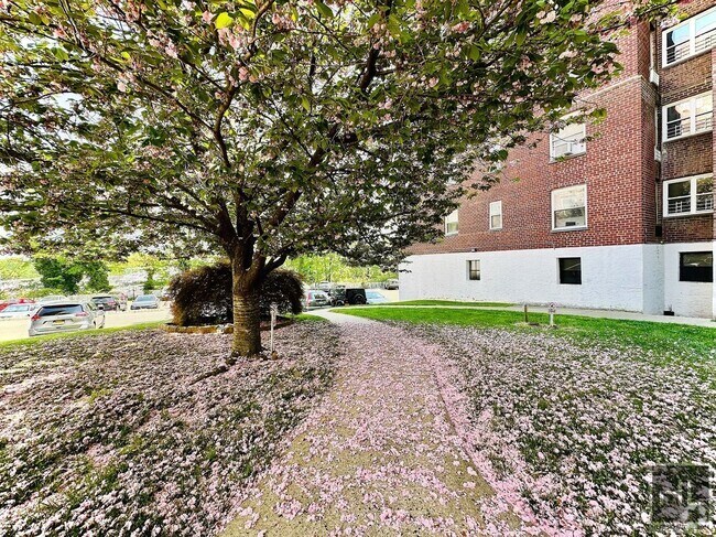 Building Photo - Pelham Road Unit 5F Rental