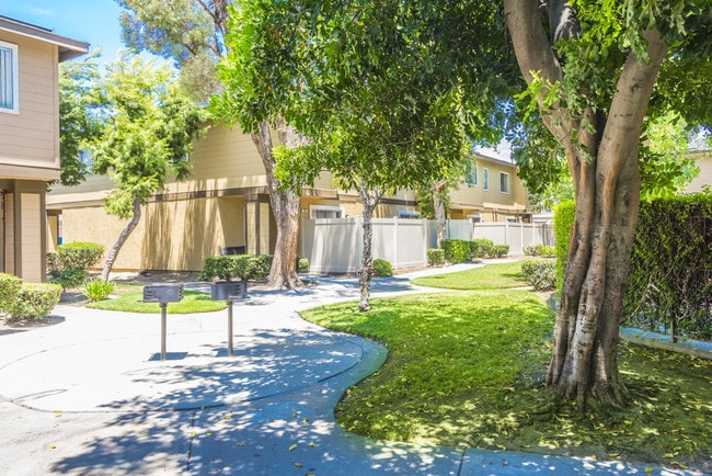 Photo - Mountain Crest