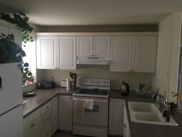 Photo - 1331 Prospect St